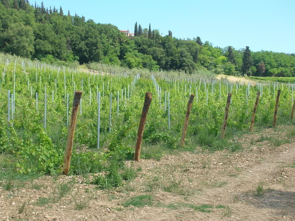 Podere Ghiole Montespertoli Εξωτερικό φωτογραφία