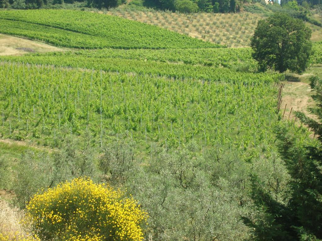 Podere Ghiole Montespertoli Εξωτερικό φωτογραφία