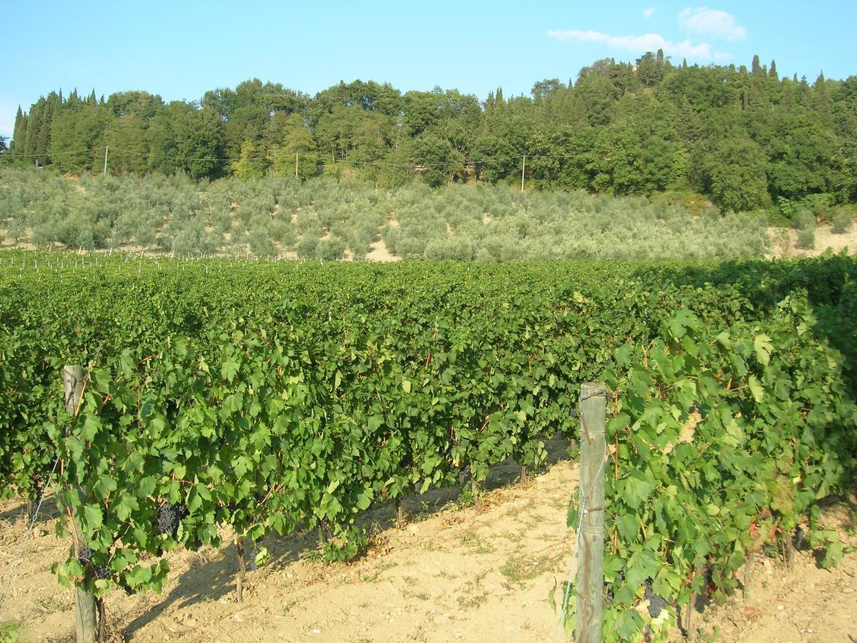 Podere Ghiole Montespertoli Εξωτερικό φωτογραφία
